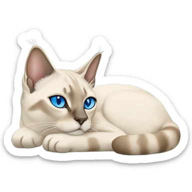 Lynx point Siamese cat with blue eyes sleeping  sticker