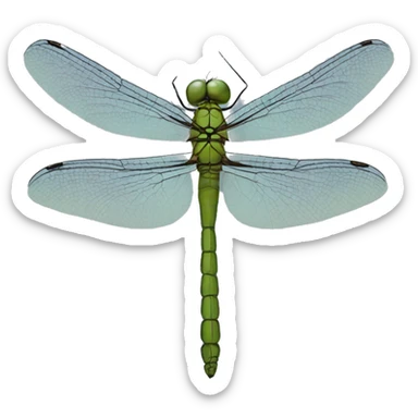 Dragonfly sticker