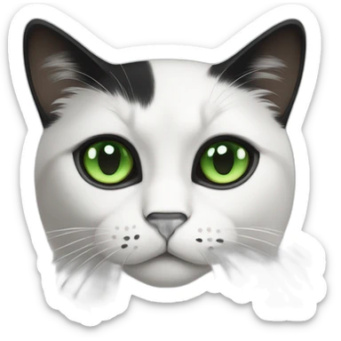 Black white cat with green eyes and black spot on her nose and grumpy face sticker