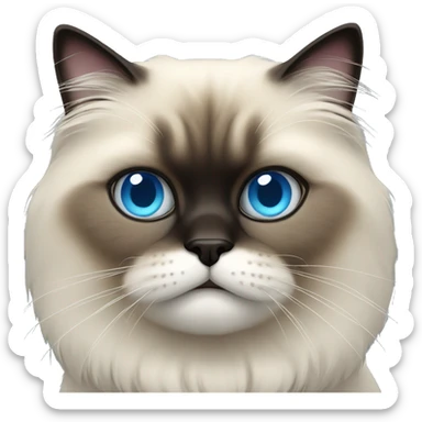 Himalayan cat with blue eyes sticker