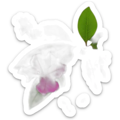 Bougainvillea flowers sticker