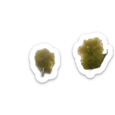 photo of a Dutch village sticker