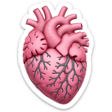Brain and heart sticker