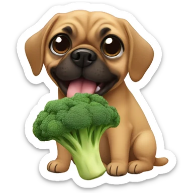 Puggle eating broccoli  sticker