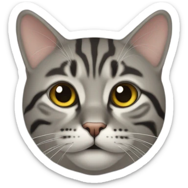Tête de chat sticker