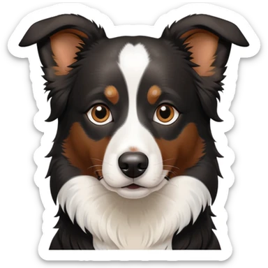 Black short hair border collie with brown dots for eyebrows  sticker