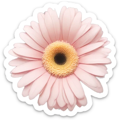 pale pink and pale yellow one flower gerbera sticker