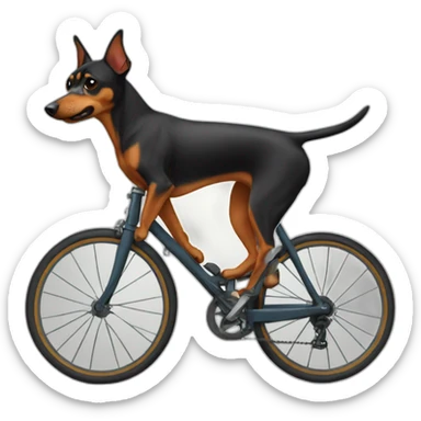 Pinscher bici sticker
