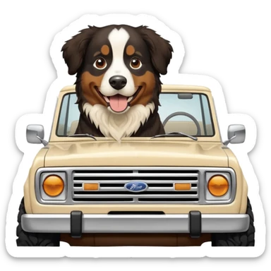 Bernese mountain dog in a cream colored ford bronco with no roof sticker