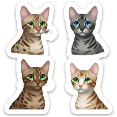 Seal Bengal cat with Blue eyes + charcoal Sepia bengal cat with Green eyes sit Next to each other  sticker