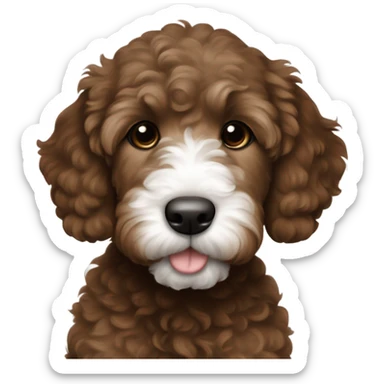 dark brown goldendoodle puppy white nose and chest  sticker
