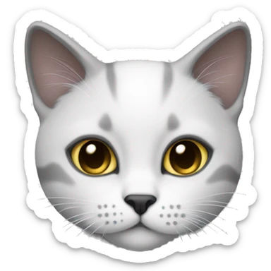 A british short hair cat With white fur and Dark grey Details  sticker