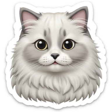 cinematic-adorable-big-eyed-fluffy-white and grey-ragdoll-cat-portrait-emoji,-head-tilted-playfully-with-a-sweet-expression,-fluffy-grey seal colour with white-fur,-simplified-yet-irresistibly-cute-features-with-large,-expression, sticker