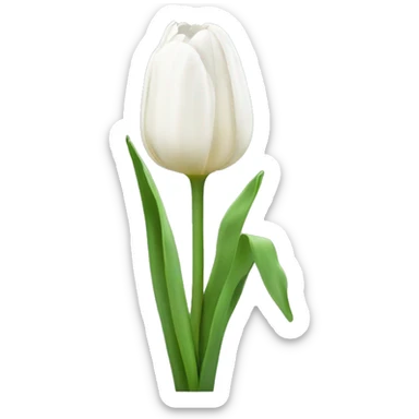 Weiße Tulpen  sticker