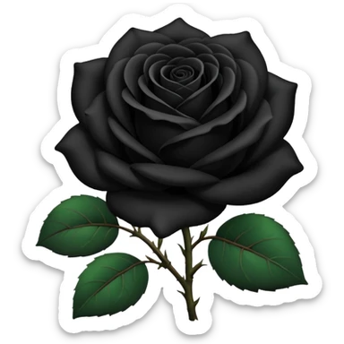black rose, without green leaves, just flower sticker