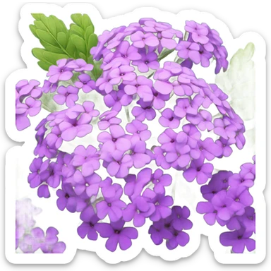 verbena sticker