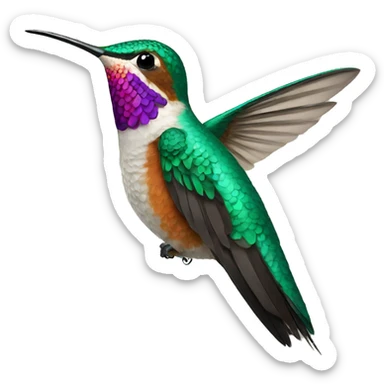 Hummingbird sticker