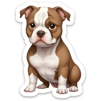 White and dark brown american pocket bully sticker