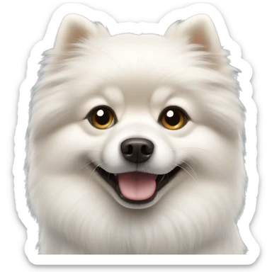 White Pomeranian spitz dog  sticker