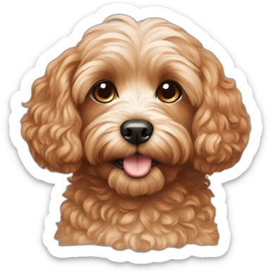 Cavapoo sticker
