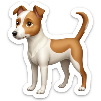 a full body white parson russell looking dog the size of a kelpie with light brown ears and a light brown patch on one eye and a large snout sticker