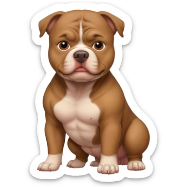 American bully marrom sticker