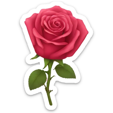 Lingerie rose sticker
