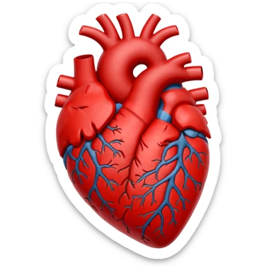 anatomical hear sticker