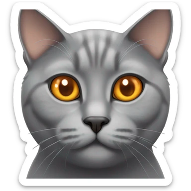 british grey cat orange eyes sticker