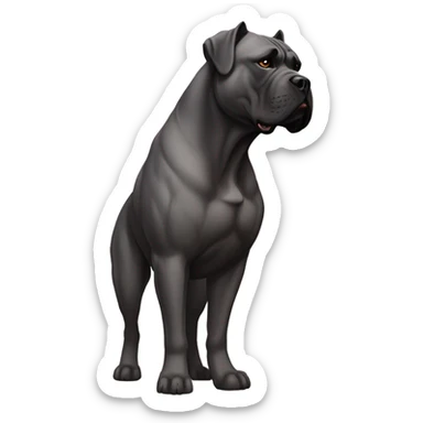 Cane corso sticker