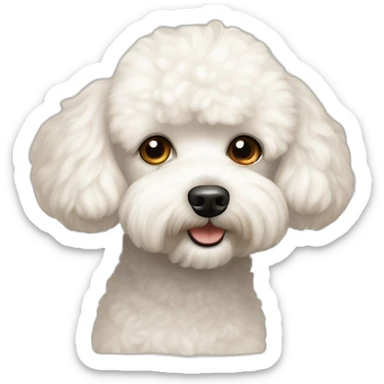 White Bichon frisée and poodle mix dog with a slight tan tint. Face sticker