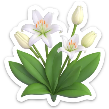 detailed white lily with six petals, a closed bud, and several green leaves sticker