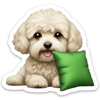 maltipoo dog with green pillow  sticker