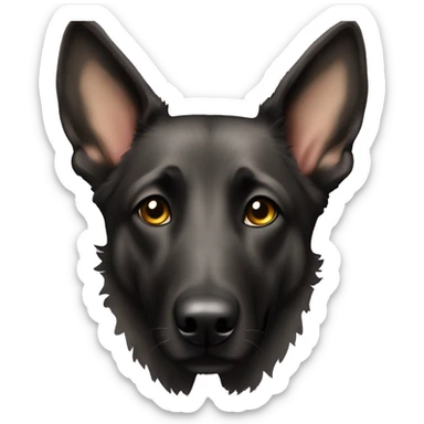 Dutch shepherd with floppy ears sticker