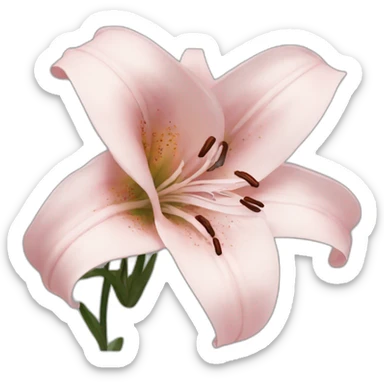 Lily rose deep sticker