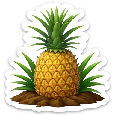 pineapple plant with ground sticker