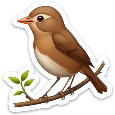 nightingale bird singing, small brown songbird sticker