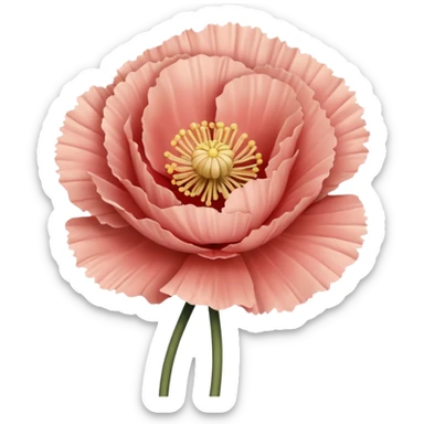 Carnation poppy beige light rose sticker