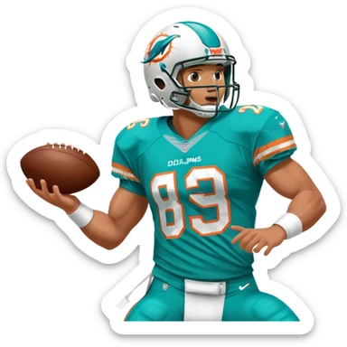 Miami Dolphins sticker