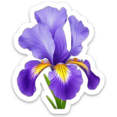 Iris flower with a rainbow behind sticker