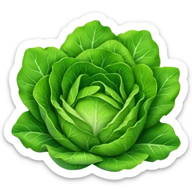 lettuce vegetable sticker