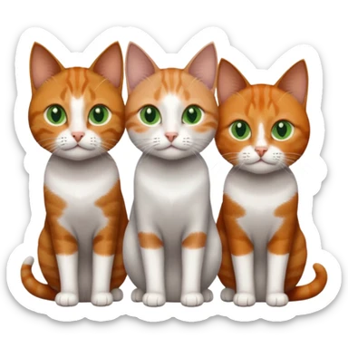 3 different coloured tiny short haired cats, including a dark grey and white cat with green eyes,and  a ginger and white with orange eyes and a brown tabby and white with hazel eyes sticker