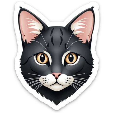 Иконка чёрного котика, наблюдающего за фейерверком. Фейерверк освещает небо яркими всполохами, символизируя яркие и незабываемые моменты. sticker