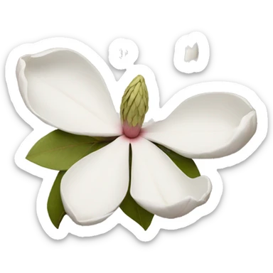 Magnolia flower sticker