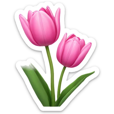 pink tulips sticker