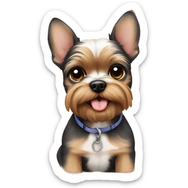 Frenchie Yorkie mix sticker