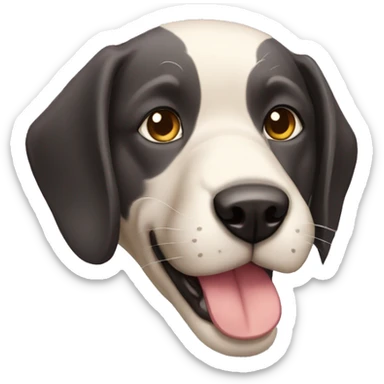 Perro con cabeza de gato sticker