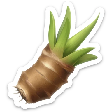 yucca root with skin sticker