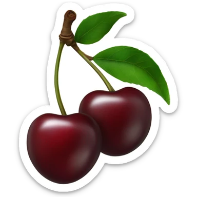 two burgundy cherries on dark green single stem sticker