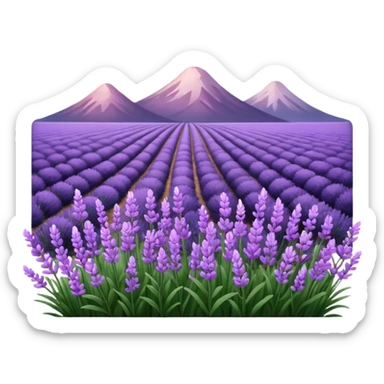 Pembe lavanta  sticker
